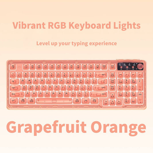 Tri-Mode Wireless Mechanical Keyboard, Bluetooth 5.0/2.4G/USB-C, 96% Layout RGB Backlit Keyboard, Hot V1197-BG-042613