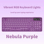 Tri-Mode Wireless Mechanical Keyboard, Bluetooth 5.0/2.4G/USB-C, 96% Layout RGB Backlit Keyboard, Hot V1197-BG-042614