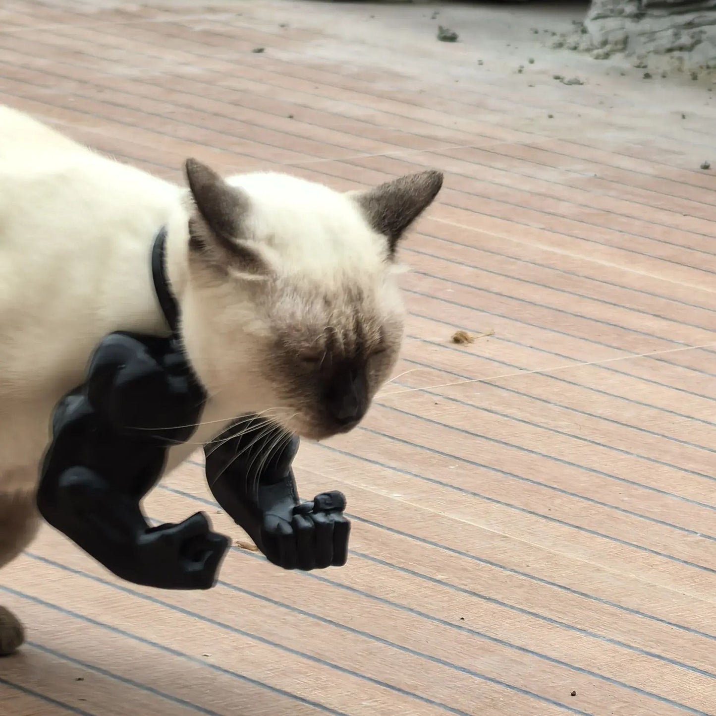 3D printed Black Batman Hood for Adult Cats Large V1221-3D-PRINTED-BLACK-BATMAN-HOOD-FOR-ADULT-CATS-LARGE