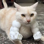 3D printed Hulk Cat Arm White V1221-3D-PRINTED-HULK-CAT-ARM-WHITE