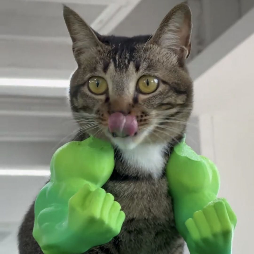 3D printed Hulk Cat Arm White V1221-3D-PRINTED-HULK-CAT-ARM-WHITE