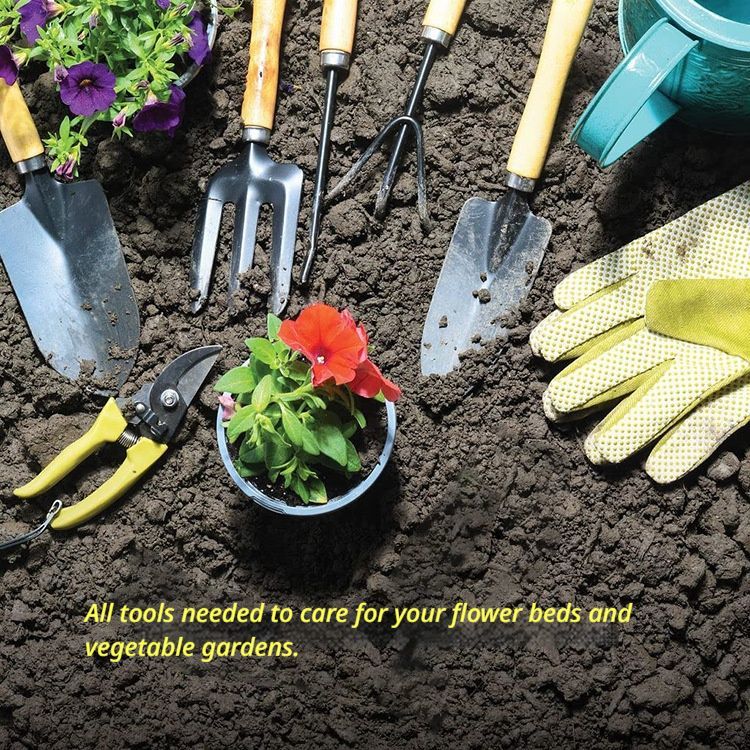LandscapingTools5-PieceSetwithWoodenHandles V1221-5-PIECEWOODENHANDLESET