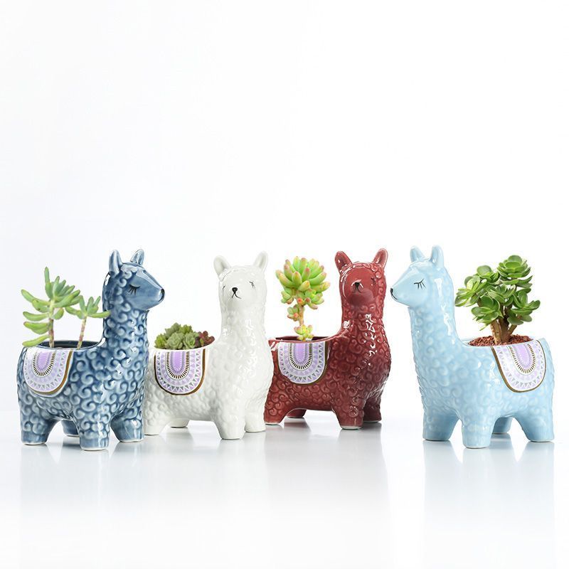 Alpaca Orchid Ceramic Planter V1221-ALPACA-ORCHID-CERAMIC-PLANTER