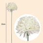Artificial-flower-White-Dandelion-33cm-per-stem V1221-ARTIFICIAL-FLOWER-WHITE-DANDELION-33CM-PER-STEM