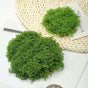 diy artificial moss lawn-Dark Green Filamentous Moss 1000g (Bulk) V1221-ARTIFICIAL-TURF-DARK-GREEN-FILAMENTOUS-MOSS-1000G-BULK