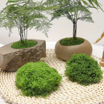 diy artificial moss lawn-Dark Green Filamentous Moss 200g V1221-ARTIFICIAL-TURF-DARK-GREEN-FILAMENTOUS-MOSS-200G