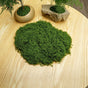 diy artificial moss lawn-Dark Green Filamentous Moss 20g V1221-ARTIFICIAL-TURF-DARK-GREEN-FILAMENTOUS-MOSS-20G