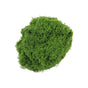 diy artificial moss lawn-Dark Green Filamentous Moss 500g (Bulk) V1221-ARTIFICIAL-TURF-DARK-GREEN-FILAMENTOUS-MOSS-500G-BULK