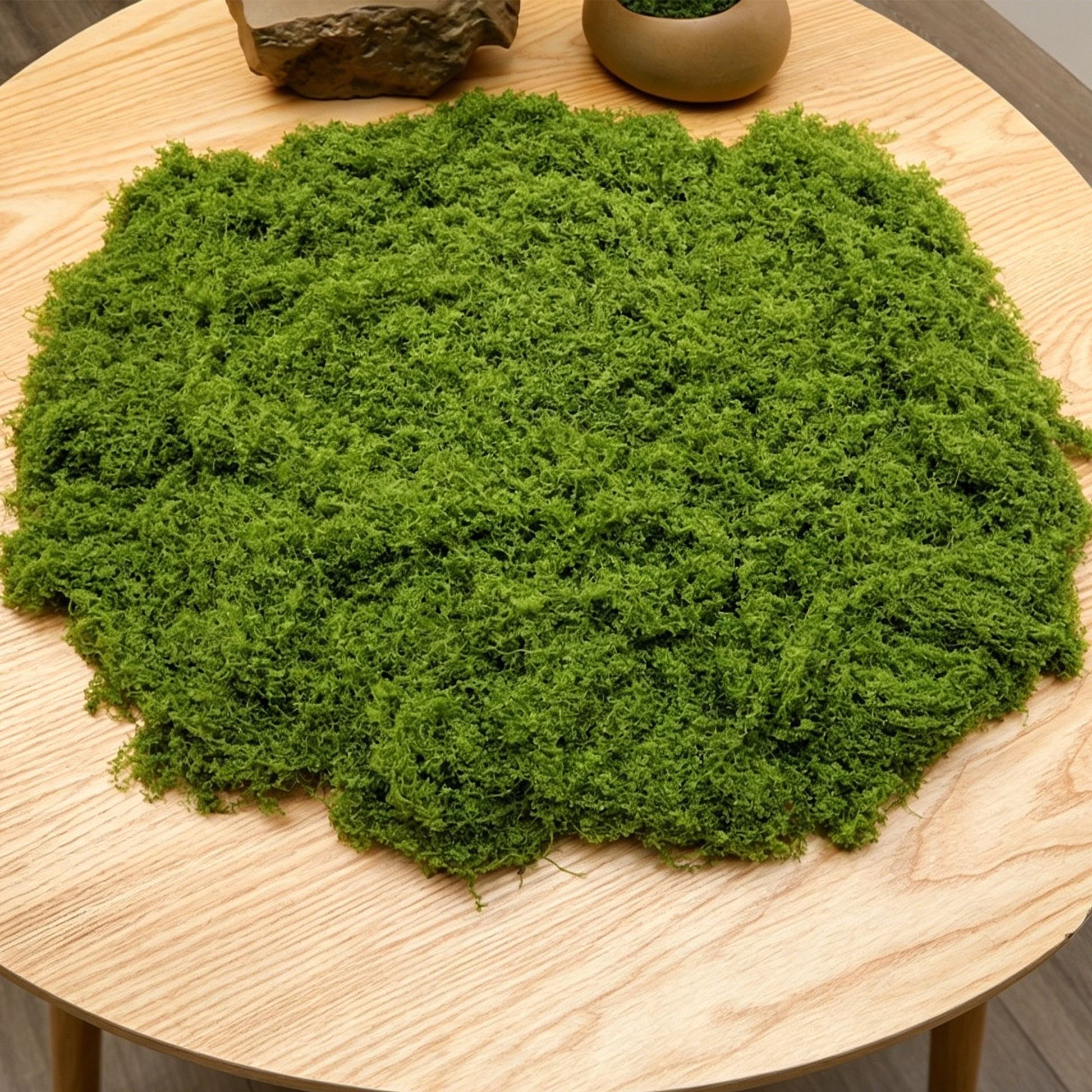 diy artificial moss lawn-Light Green Filamentous Moss 100g V1221-ARTIFICIAL-TURF-LIGHT-GREEN-FILAMENTOUS-MOSS-100G