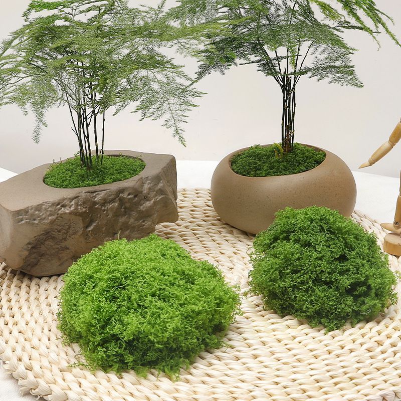 diy artificial moss lawn-Light Green Filamentous Moss 200g V1221-ARTIFICIAL-TURF-LIGHT-GREEN-FILAMENTOUS-MOSS-200G