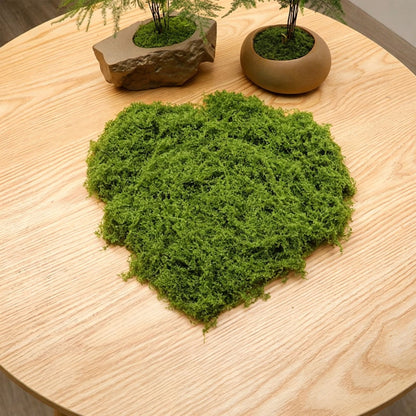 diy artificial moss lawn-Light Green Filamentous Moss 20g V1221-ARTIFICIAL-TURF-LIGHT-GREEN-FILAMENTOUS-MOSS-20G