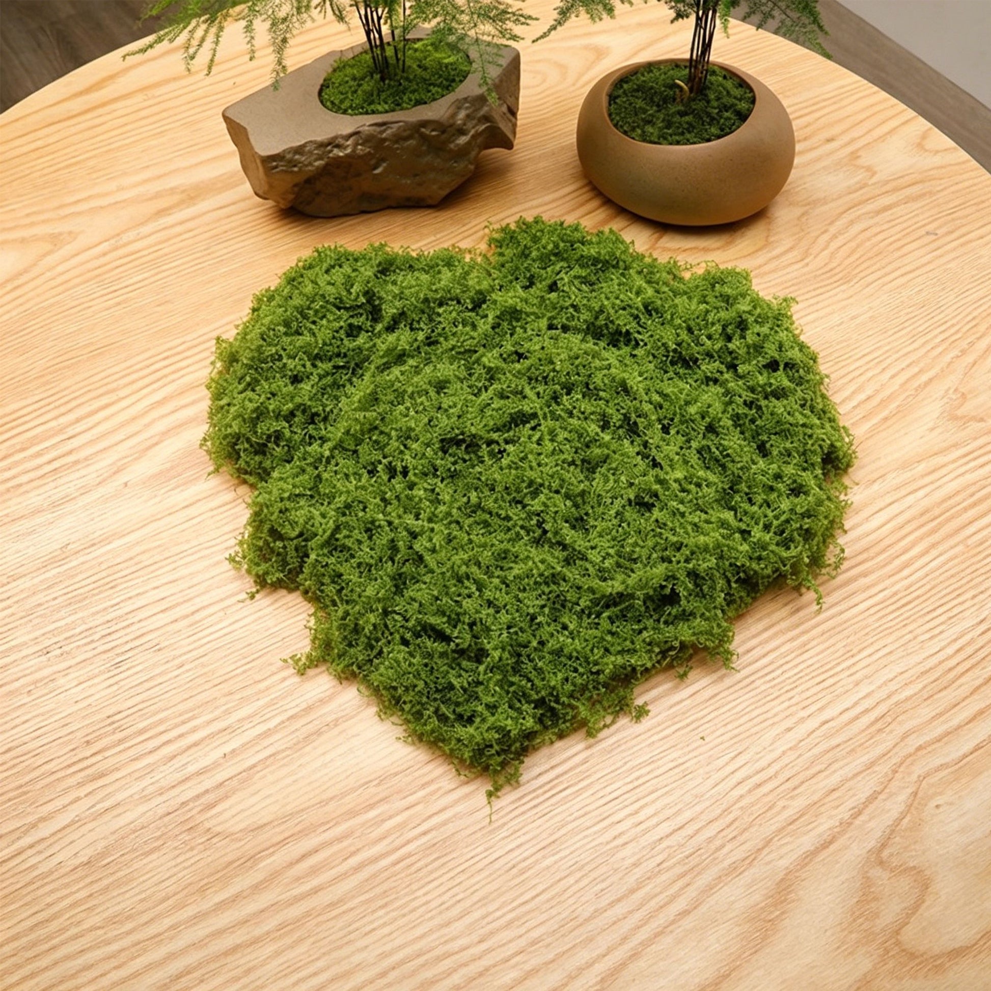 diy artificial moss lawn-Light Green Filamentous Moss 30g V1221-ARTIFICIAL-TURF-LIGHT-GREEN-FILAMENTOUS-MOSS-30G