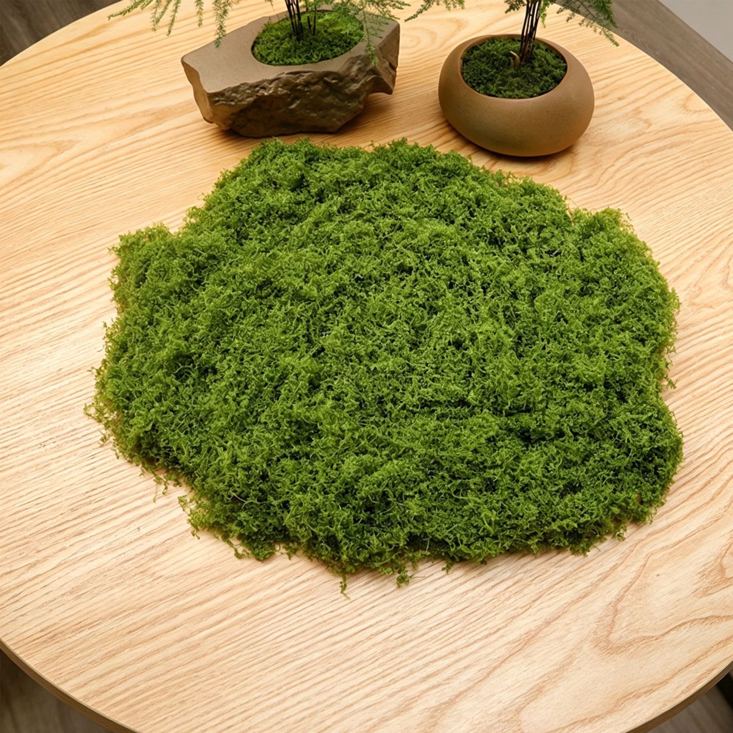 diy artificial moss lawn-Light Green Filamentous Moss 50g V1221-ARTIFICIAL-TURF-LIGHT-GREEN-FILAMENTOUS-MOSS-50G