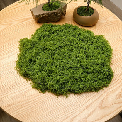diy artificial moss lawn-Light Green Filamentous Moss 50g V1221-ARTIFICIAL-TURF-LIGHT-GREEN-FILAMENTOUS-MOSS-50G