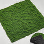 diy artificial moss lawn-New moss (dark green thread style) 1m x 1m V1221-ARTIFICIAL-TURF-NEW-MOSS-DARK-GREEN-THREAD-ONE-SQUARE-METER