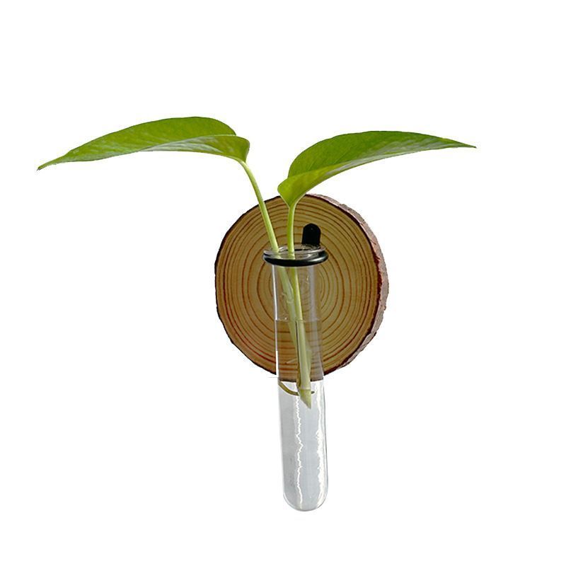 Creative Test Tube Hydroponic Vase-Set of 6 V1221-CREATIVE-TEST-TUBE-HYDROPONIC-VASE-SET-OF-6