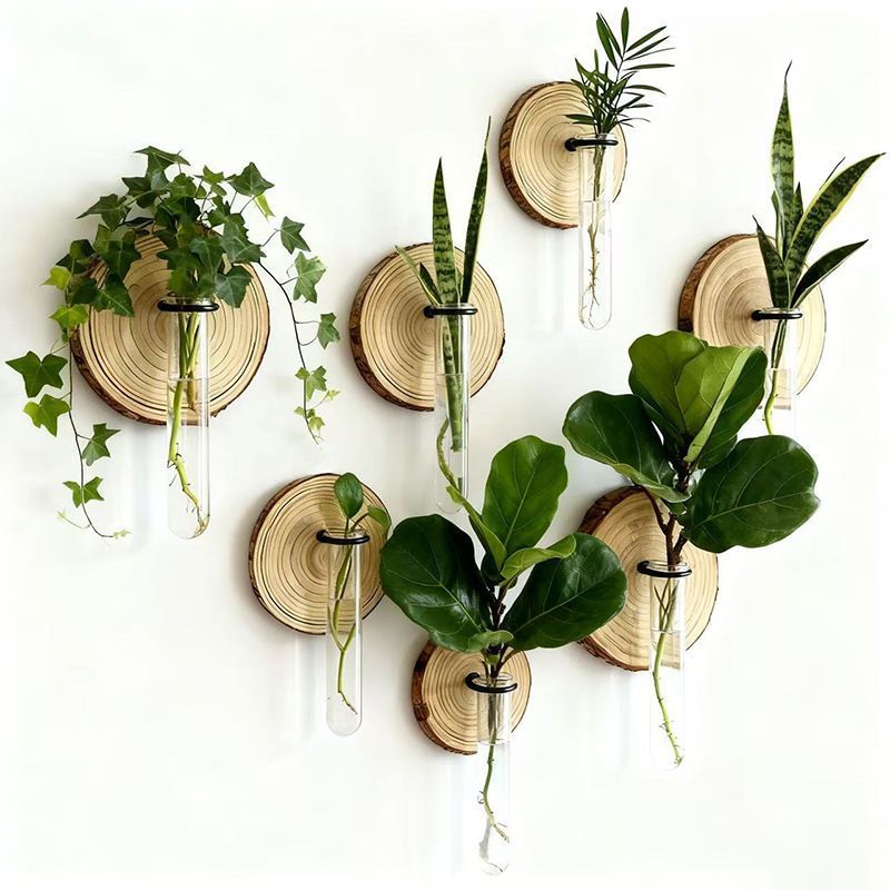 Creative Test Tube Hydroponic Vase-Set of 6 V1221-CREATIVE-TEST-TUBE-HYDROPONIC-VASE-SET-OF-6