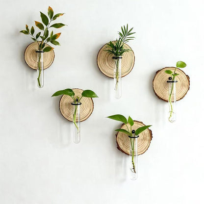 Creative Test Tube Hydroponic Vase-Set of 6 V1221-CREATIVE-TEST-TUBE-HYDROPONIC-VASE-SET-OF-6