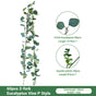 Eucalyptus Aquatic Vine - 60 Heads 2 Forks - P V1221-EUCALYPTUS-AQUATIC-VINE-60-HEADS-2-FORKS-P
