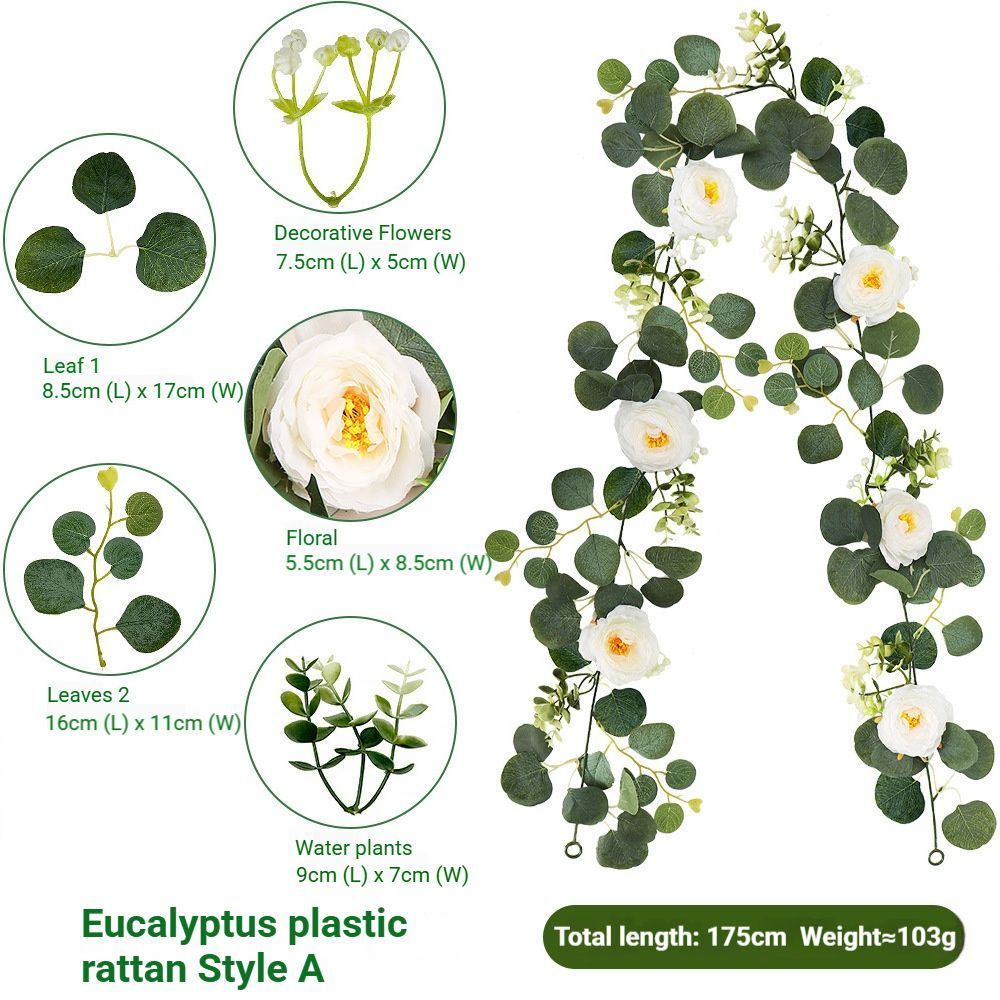Eucalyptus Rattan - 36 Heads-A V1221-EUCALYPTUS-RATTAN-36-HEADS-A