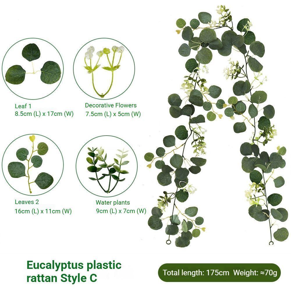 Eucalyptus Rattan - 36 Heads-C V1221-EUCALYPTUS-RATTAN-36-HEADS-C