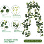 Eucalyptus Rattan - 36 Heads-C V1221-EUCALYPTUS-RATTAN-36-HEADS-C