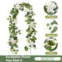 Eucalyptus with Flowers - C V1221-EUCALYPTUS-WITH-FLOWERS-C