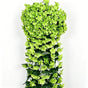 FauxFive-PetaledGreenFlower V1221-FIVE-PETALGREEN-1BUNCH