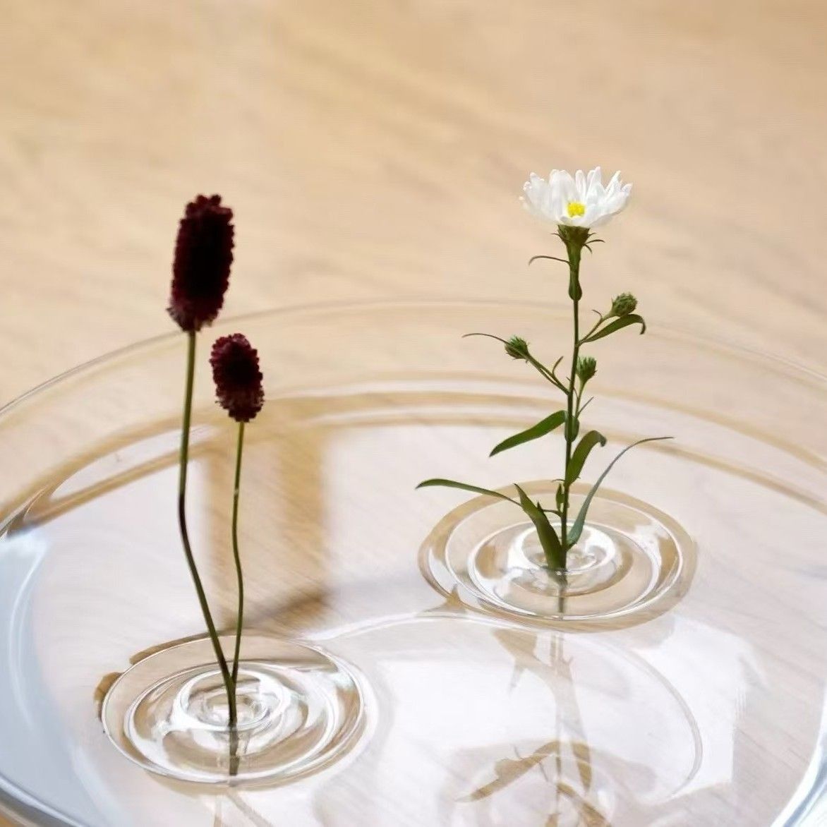 Flower Hydroponic Vase Small V1221-FLOWER-HYDROPONIC-VASE-SMALL