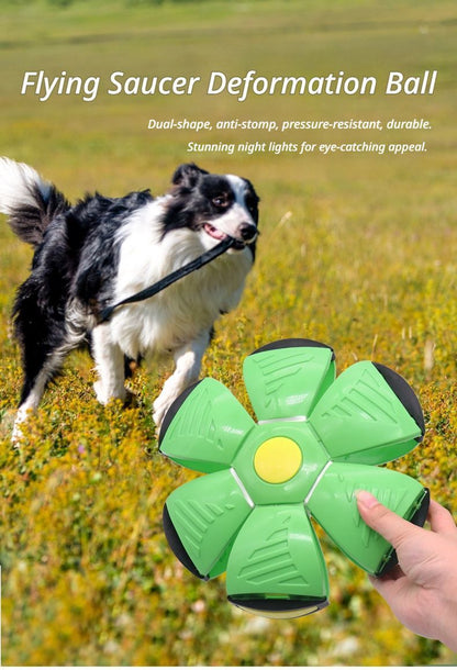 Frisbee Deformation Ball - magenta + 3 Light Versionx5 V1221-FRISBEE-DEFORMATION-BALL-MAGENTA-3-LIGHT-VERSION-5