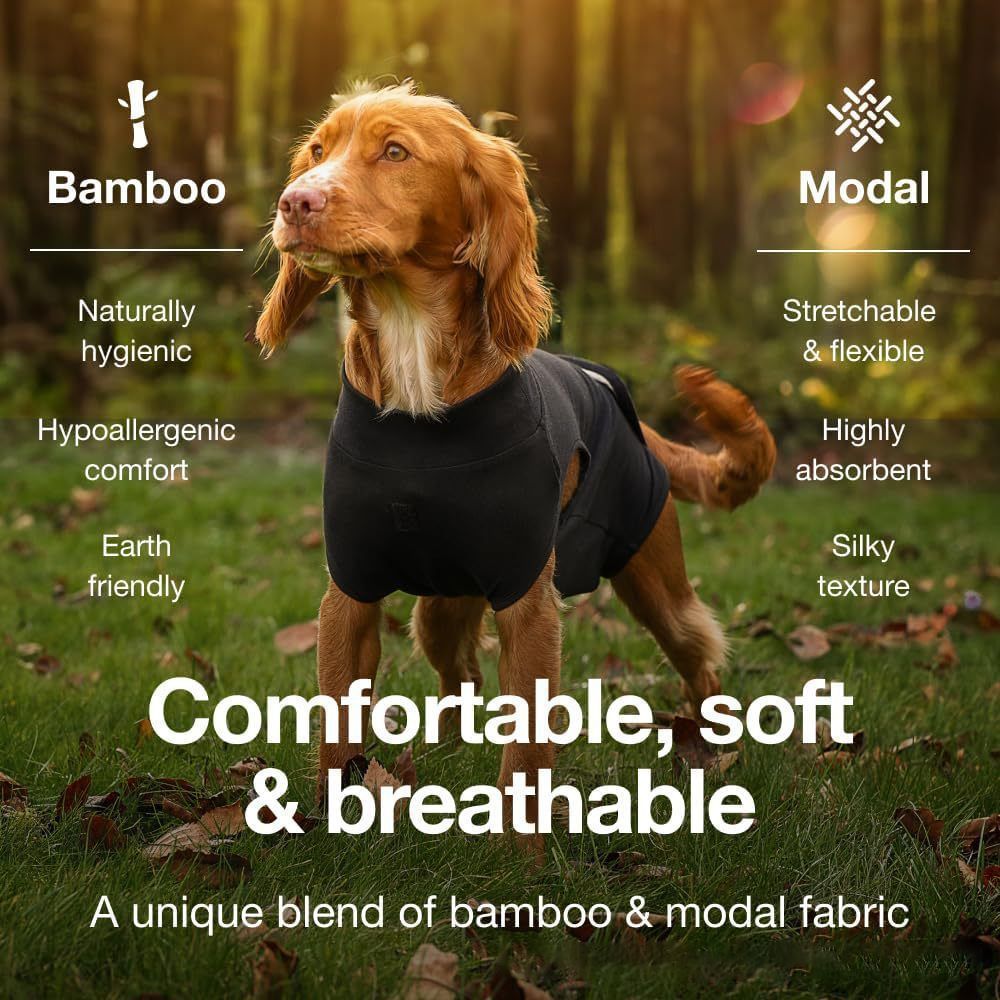 Pet physiological pants-L V1221-PET-PHYSIOLOGICAL-PANTS-L
