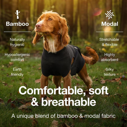 Pet physiological pants-L V1221-PET-PHYSIOLOGICAL-PANTS-L