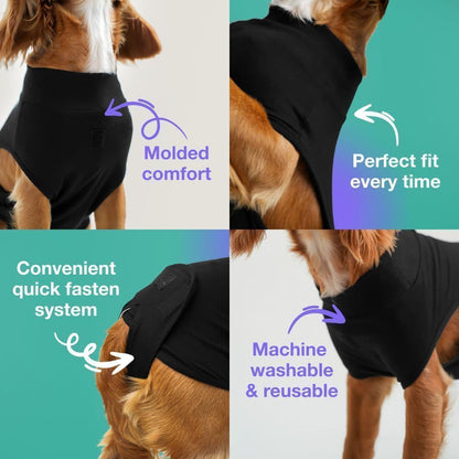 Pet physiological pants-XXL V1221-PET-PHYSIOLOGICAL-PANTS-XXL