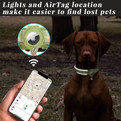 Pet positioning collar-Heart Green 1Pair1-L-without locator V1221-PET-POSITIONING-COLLAR-HEARTGREEN-1PAIR1-L-WITHOUT-LOCATOR