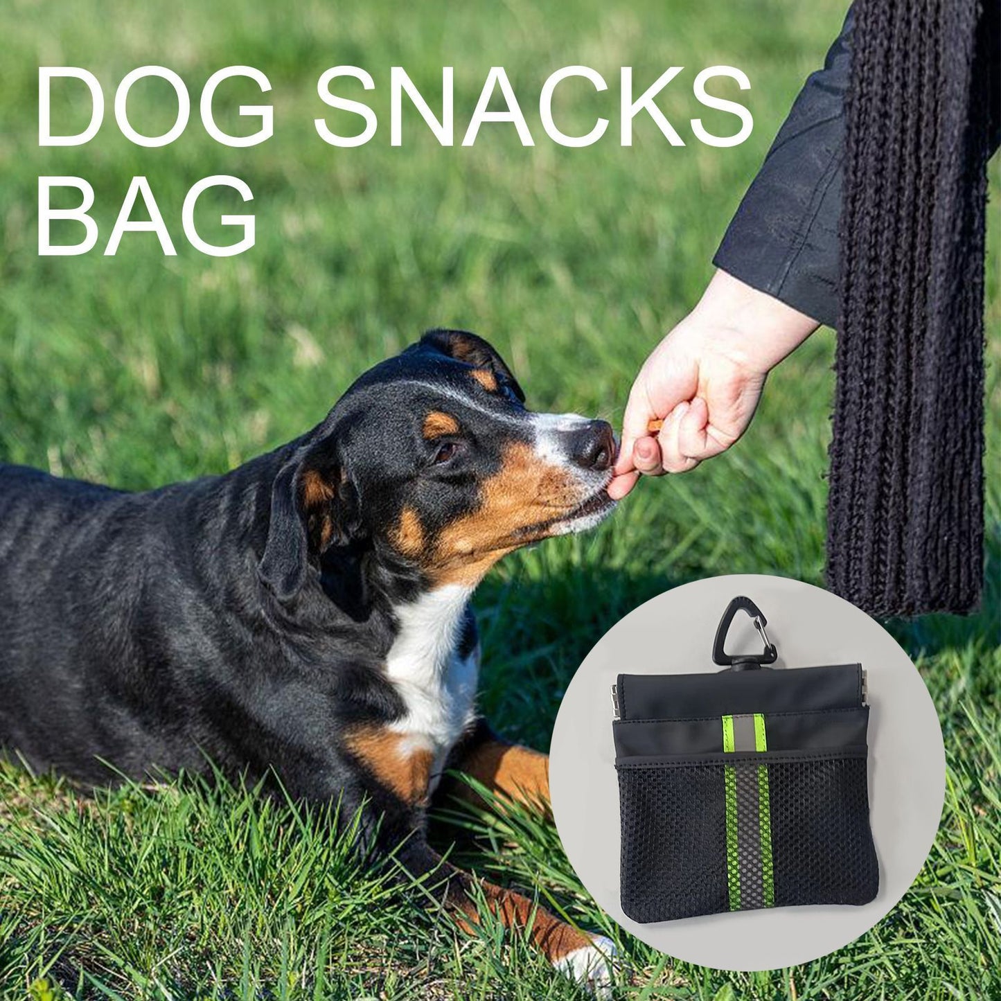 Pet snack bag-D V1221-PET-SNACK-BAG-D