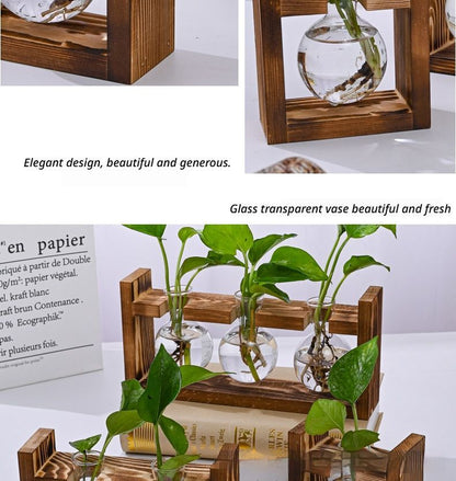 HydroponicWoodenFramewithSnap-On-SphericalDoubleBottle V1221-WOODENSTAND-ROUNDBALLDOUBLEBOTTLE