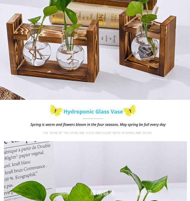 HydroponicWoodenFramewithSnap-On-SphericalTripleBottle V1221-WOODENSTAND-ROUNDBALLTRIPLEBOTTLE