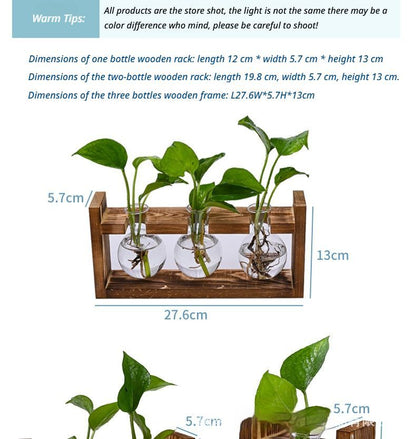 HydroponicWoodenFramewithSnap-On-SphericalTripleBottle V1221-WOODENSTAND-ROUNDBALLTRIPLEBOTTLE