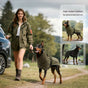 Winter Warm Pet Coat, Outdoor Cold Proof Dog Jacket-orange V1221-XM-DJCWWT-007