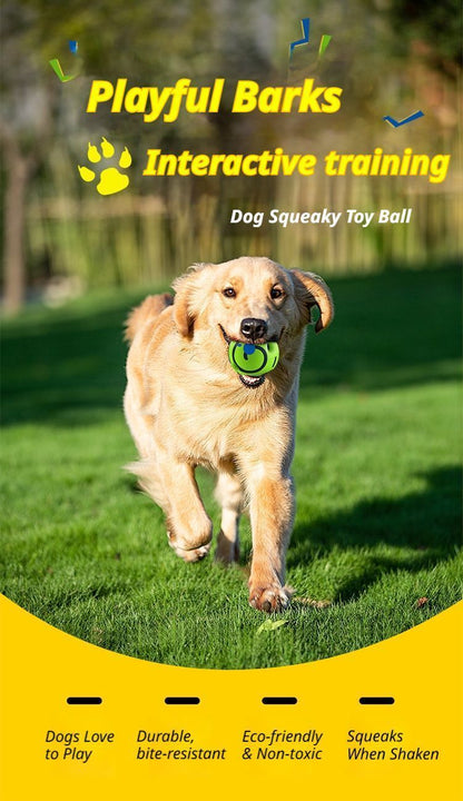 10cm Dog Squeaky Ball Color Box V1221-XM-FSGQ-04