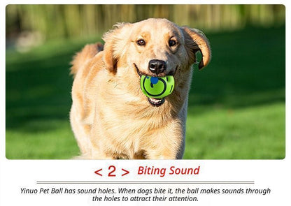 10cm Dog Squeaky Ball Color Box V1221-XM-FSGQ-04