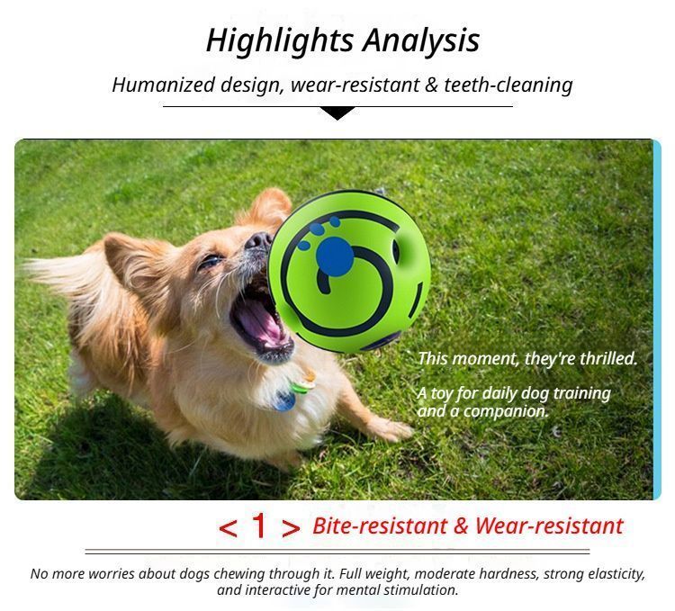 14cm Dog Squeaky Ball Color Box V1221-XM-FSGQ-05