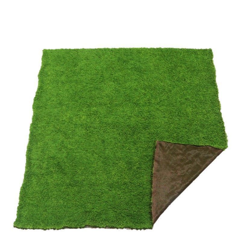 Artificial Moss Turf 100x50cm 01 V1221-XM-FZTXD-04