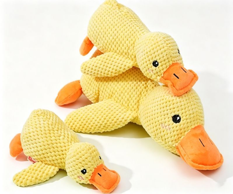 2-Pack Squeaky Plush Toys 01 V1221-XM-GGWJ-04