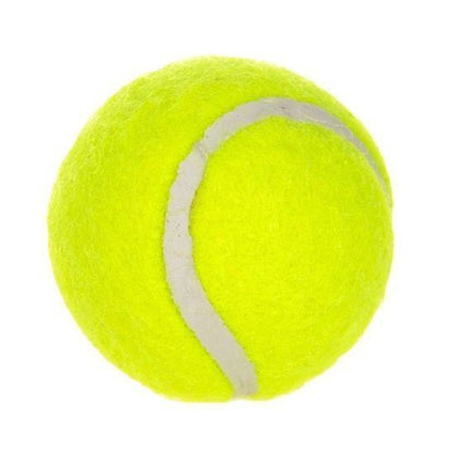 6-Pack 2inch Yellow Dog Tennis Balls V1221-XM-GGWQ-01
