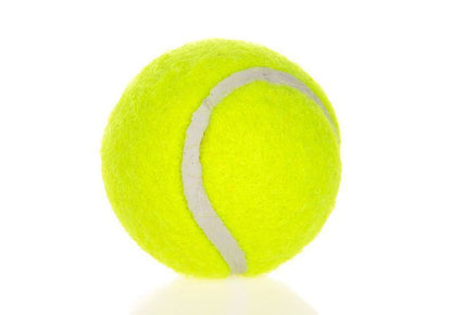 6-Pack 2inch Yellow Dog Tennis Balls V1221-XM-GGWQ-01
