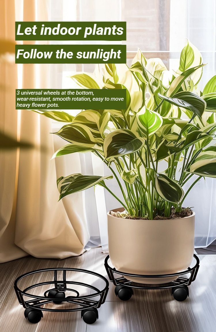 Black Round Wheel Plant Caddy V1221-XM-HPJ-01