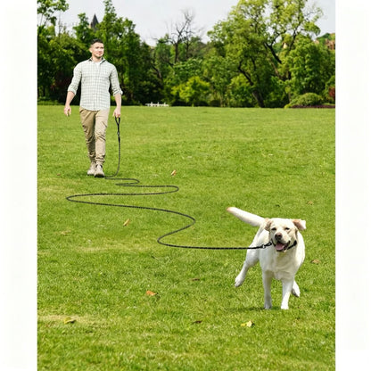 Large Dog Leash Sky Blue V1221-XM-QYS-003