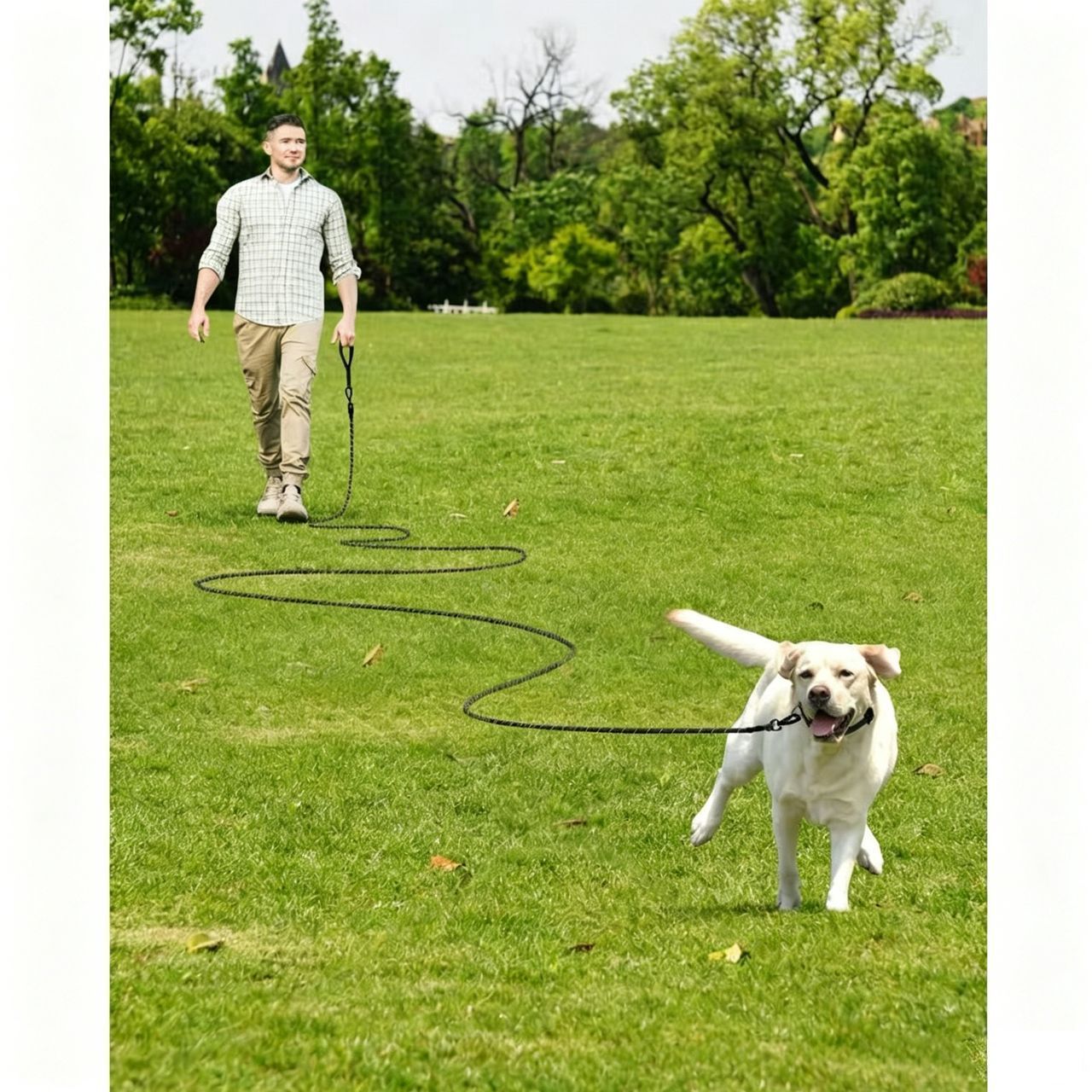 Large Dog Leash Sky Blue 03 V1221-XM-QYS-012