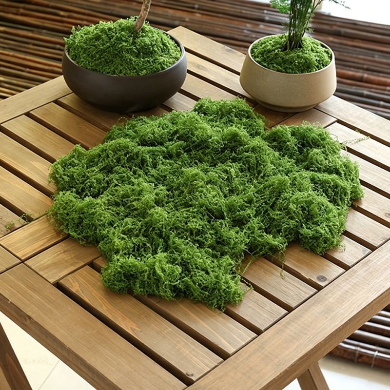 30g Dark Green Artificial Moss-2Pcs V1221-XM-RZTX-01